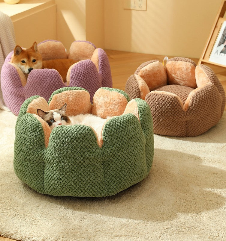 Cactus Petal Pet Nest Large Soft and Cozy bed for Cats or Dogs