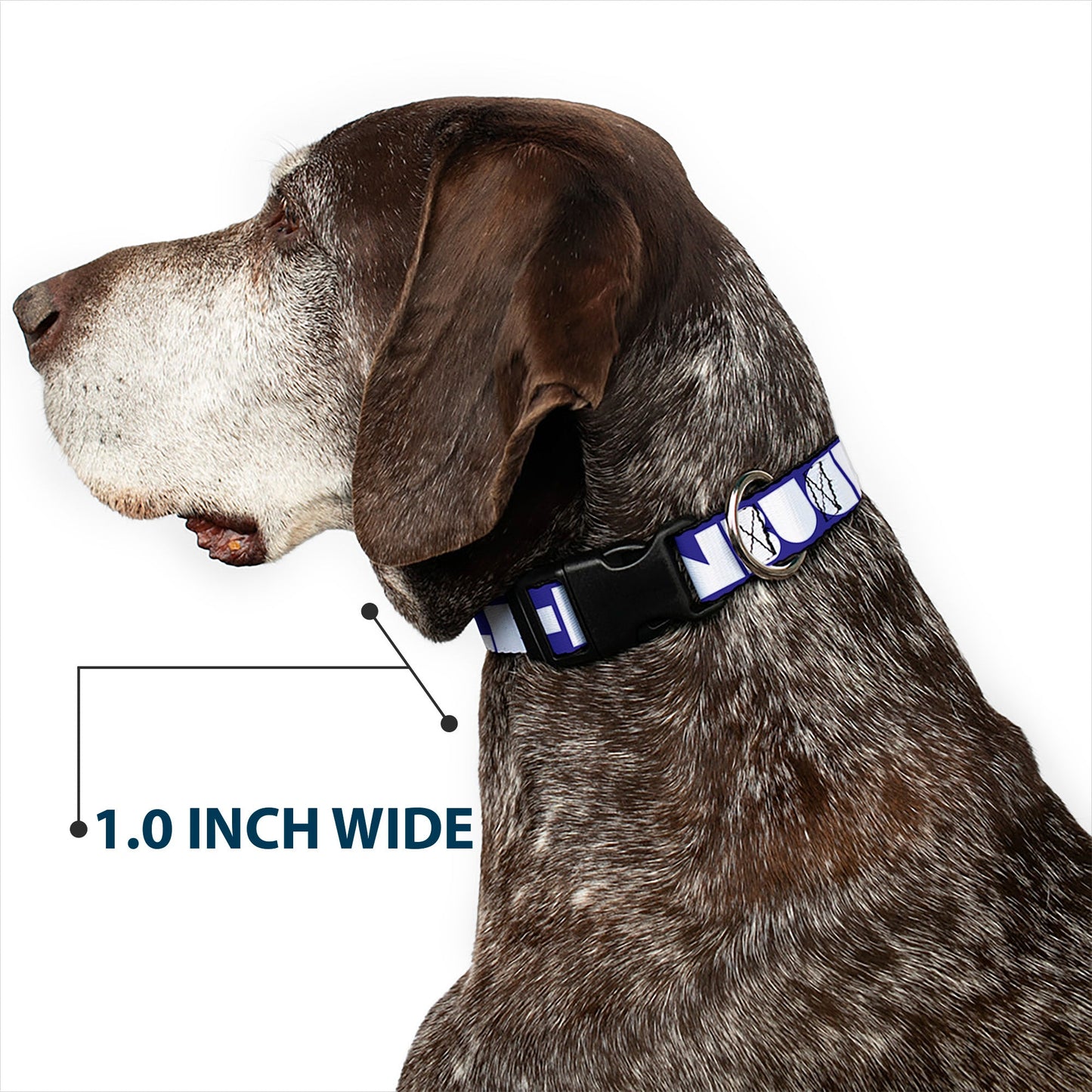 Plastic Clip Collar - BUCKLE-DOWN Shapes Blue/White