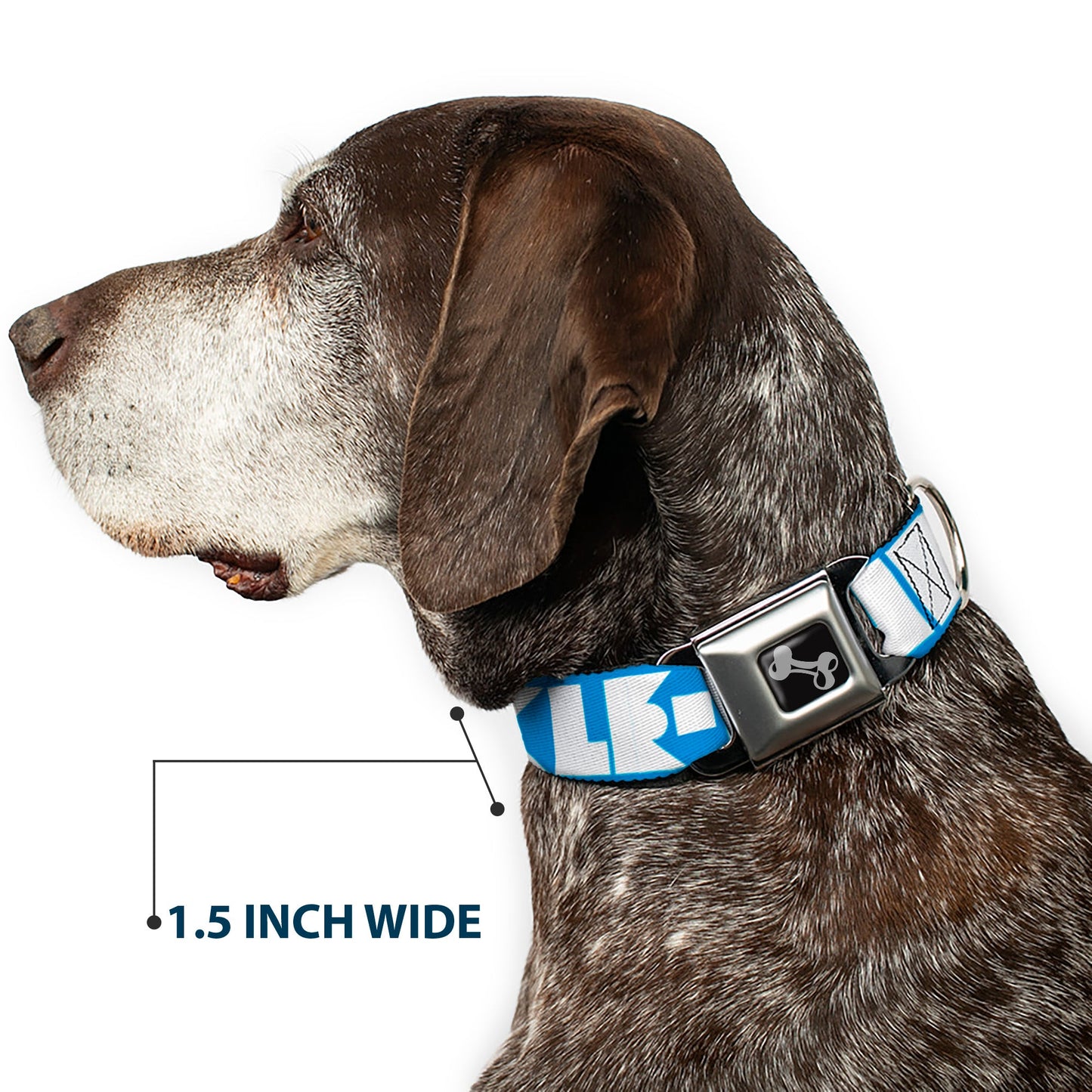Dog Bone Seatbelt Buckle Collar - BUCKLE-DOWN Shapes Turquoise/White
