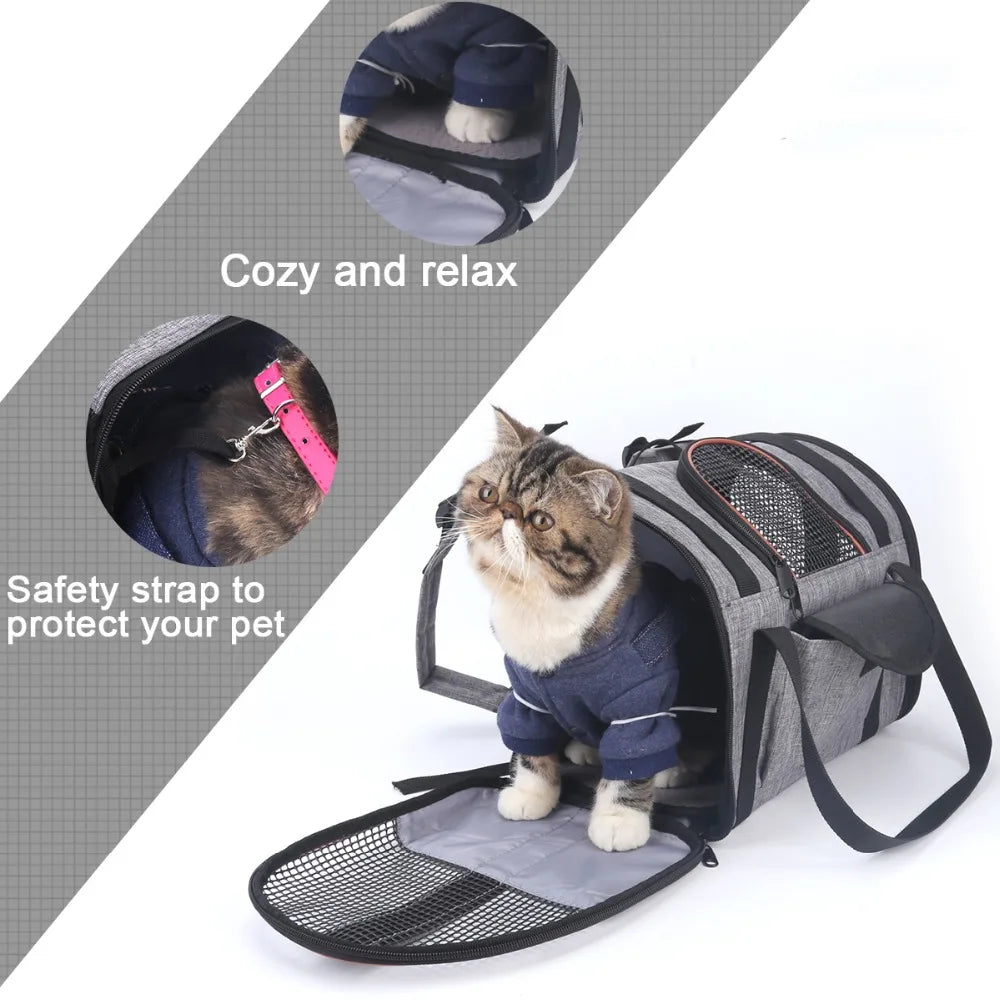 Cozy Cruiser Pet Carrier