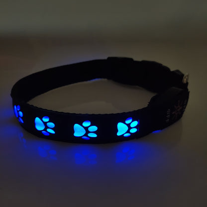 GlowGuard Pet Collar: LED Rechargeable Safety and Anti-Loss Light for Paws