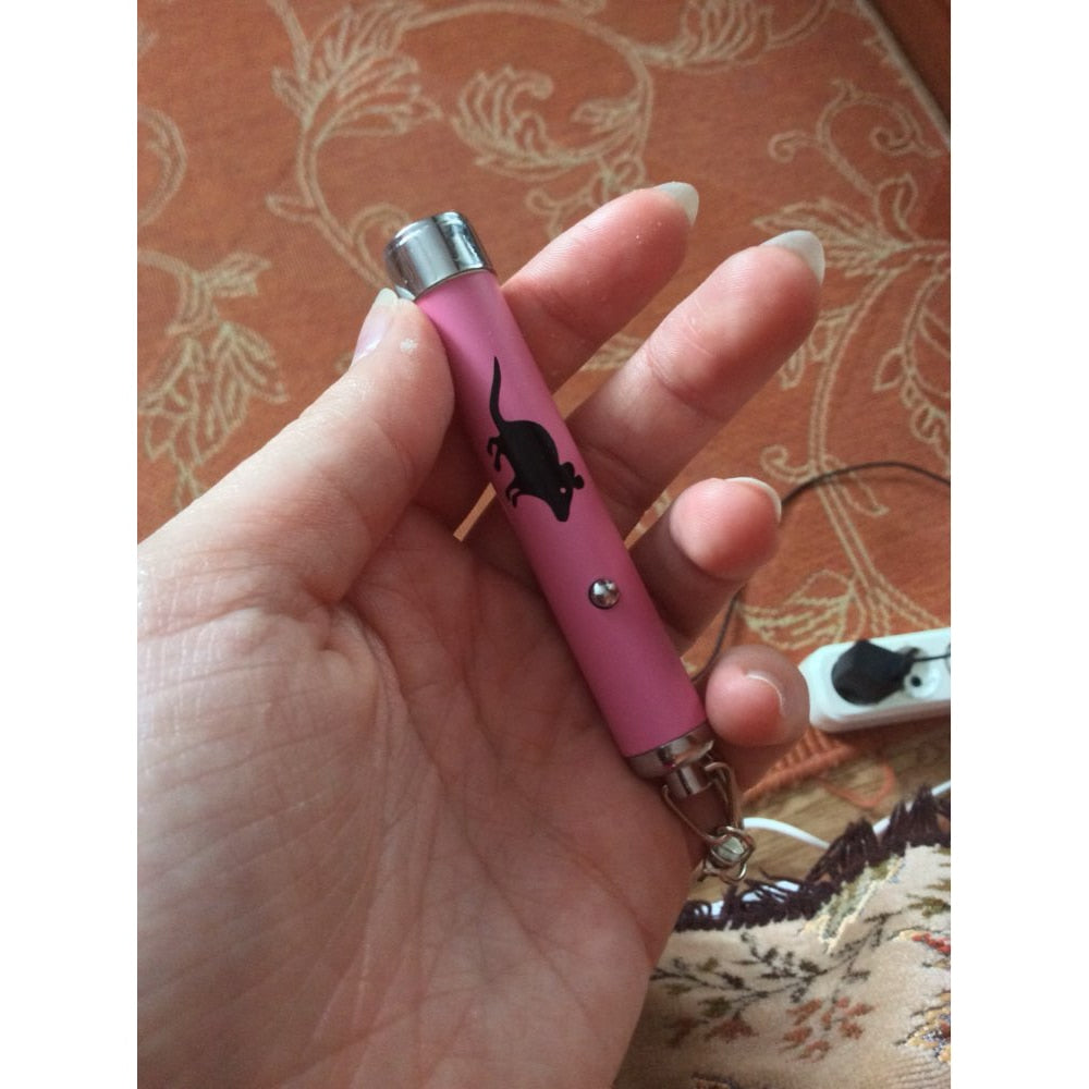LED Pointer Pen w/ a Cat Inspired Mouse Shape