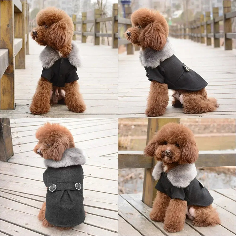 Pet Clothing for Dog Winter Coat for Small Medium Dogs.