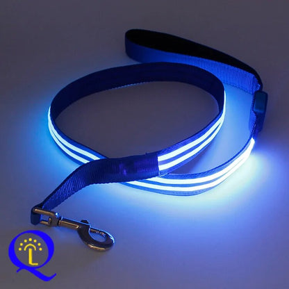 Multi-Color LED Pet Leash