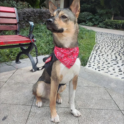 Adjustable Pet Triangle Bandana Scarf – Washable Dog & Cat Bib Collar for Birthday Parties