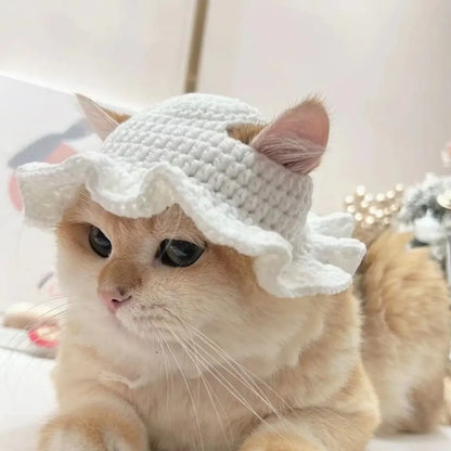Knitted Cat Hat for Pets – Cute Cosplay Party Headwear