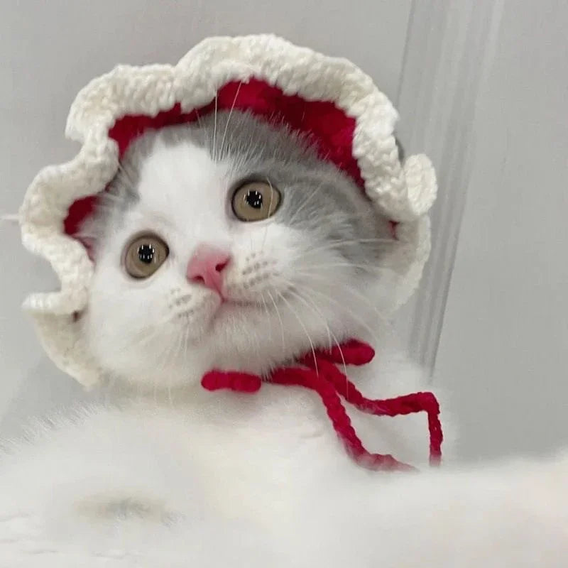 Knitted Cat Hat for Pets – Cute Cosplay Party Headwear