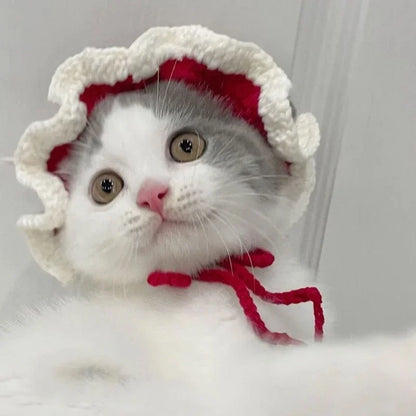 Knitted Cat Hat for Pets – Cute Cosplay Party Headwear