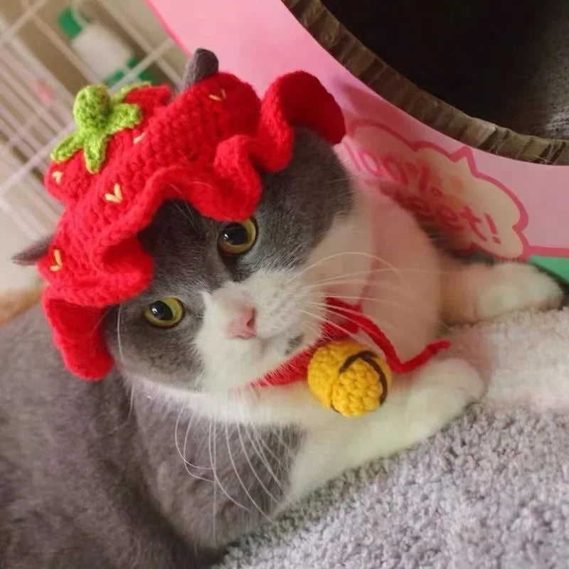 Knitted Cat Hat for Pets – Cute Cosplay Party Headwear