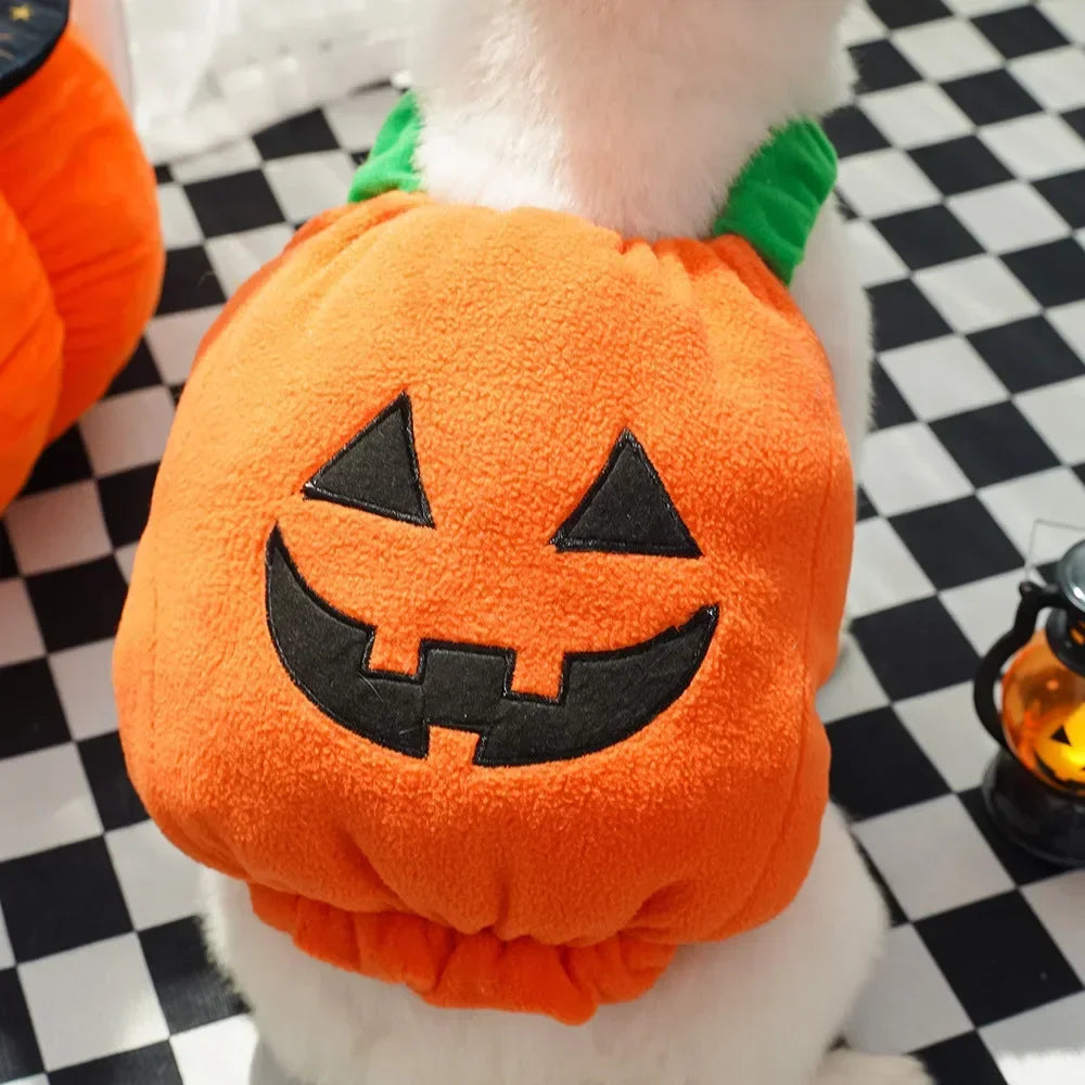 Funny Dog Halloween Christmas Pumpkin Lantern Transformation Outfit halloween dog Cat Two Legged Pet Cute Pumpkin Hat Dog Jacket