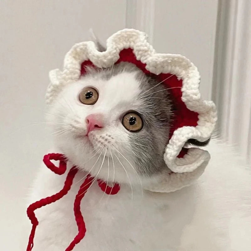 Knitted Cat Hat for Pets – Cute Cosplay Party Headwear