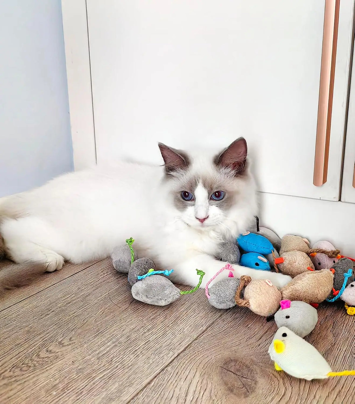 Rattle Cat Mouse Toys - Catnip Faux Fur Mice, Interactive Cat Toy Set