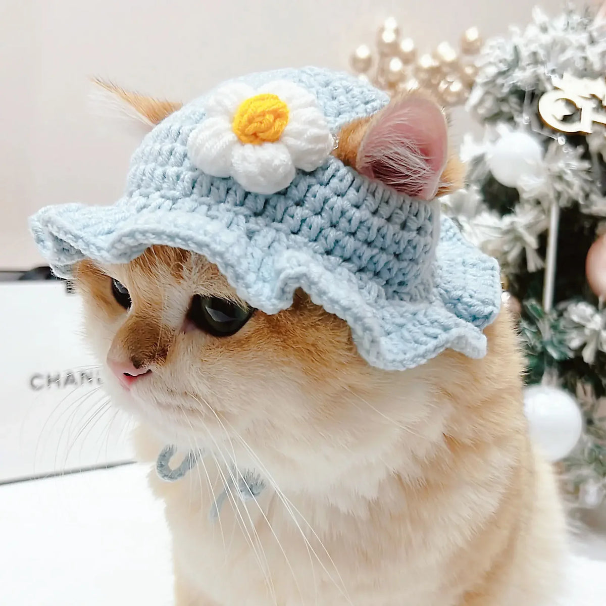 Knitted Cat Hat for Pets – Cute Cosplay Party Headwear