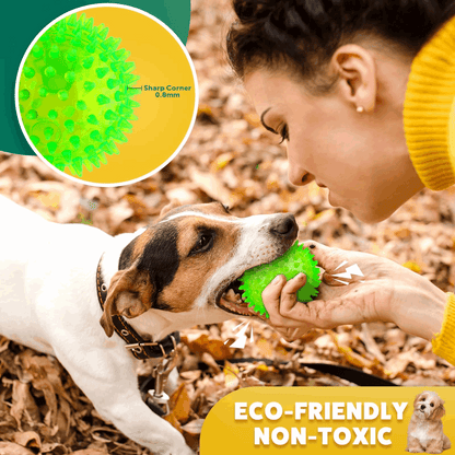 2.5” Squeaky Interactive Dog Balls for Puppy Teething Chew Toys for Small Dogs for Clean Teeth and Training.