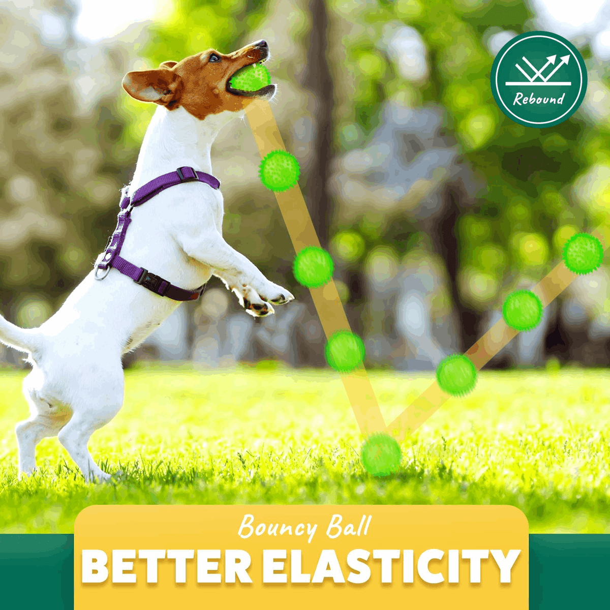 2.5” Squeaky Interactive Dog Balls for Puppy Teething Chew Toys for Small Dogs for Clean Teeth and Training.