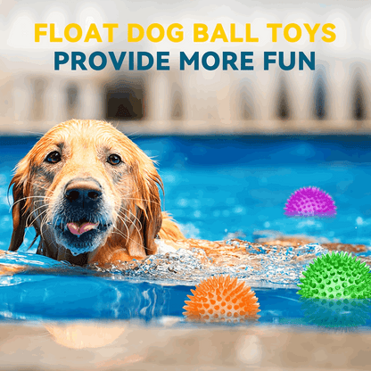 2.5” Squeaky Interactive Dog Balls for Puppy Teething Chew Toys for Small Dogs for Clean Teeth and Training.