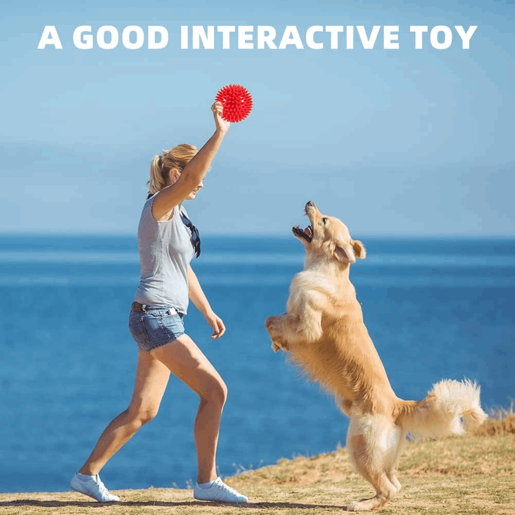 2.5” Squeaky Interactive Dog Balls for Puppy Teething Chew Toys for Small Dogs for Clean Teeth and Training.