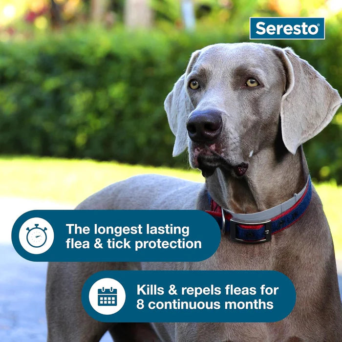 Seresto Flea and Tick Protection Collar