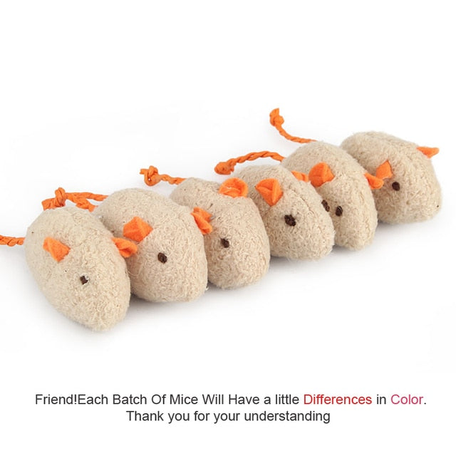 6pcs Catnip Pet Toys